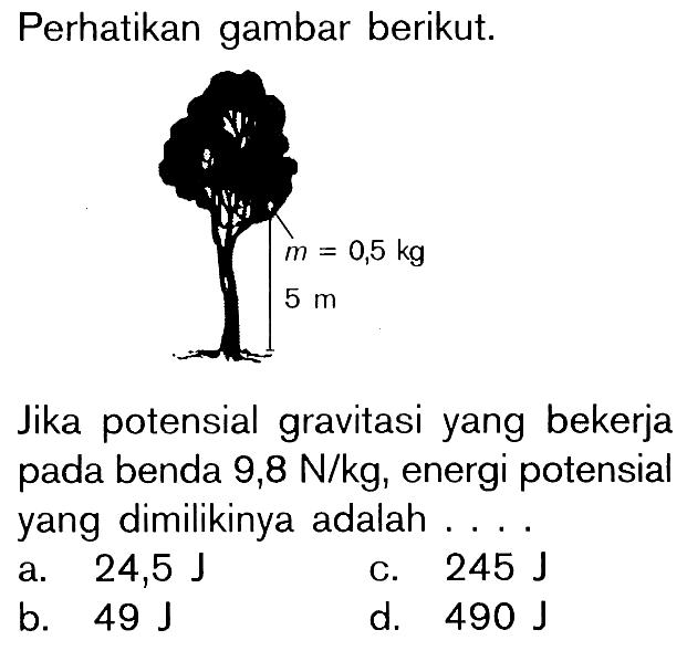 Perhatikan gambar berikut. m = 0,5 kg 5 m. Jika potensial gravitasi yang bekerja pada benda 9,8 N/kg, energi potensial yang dimilikinya adalah