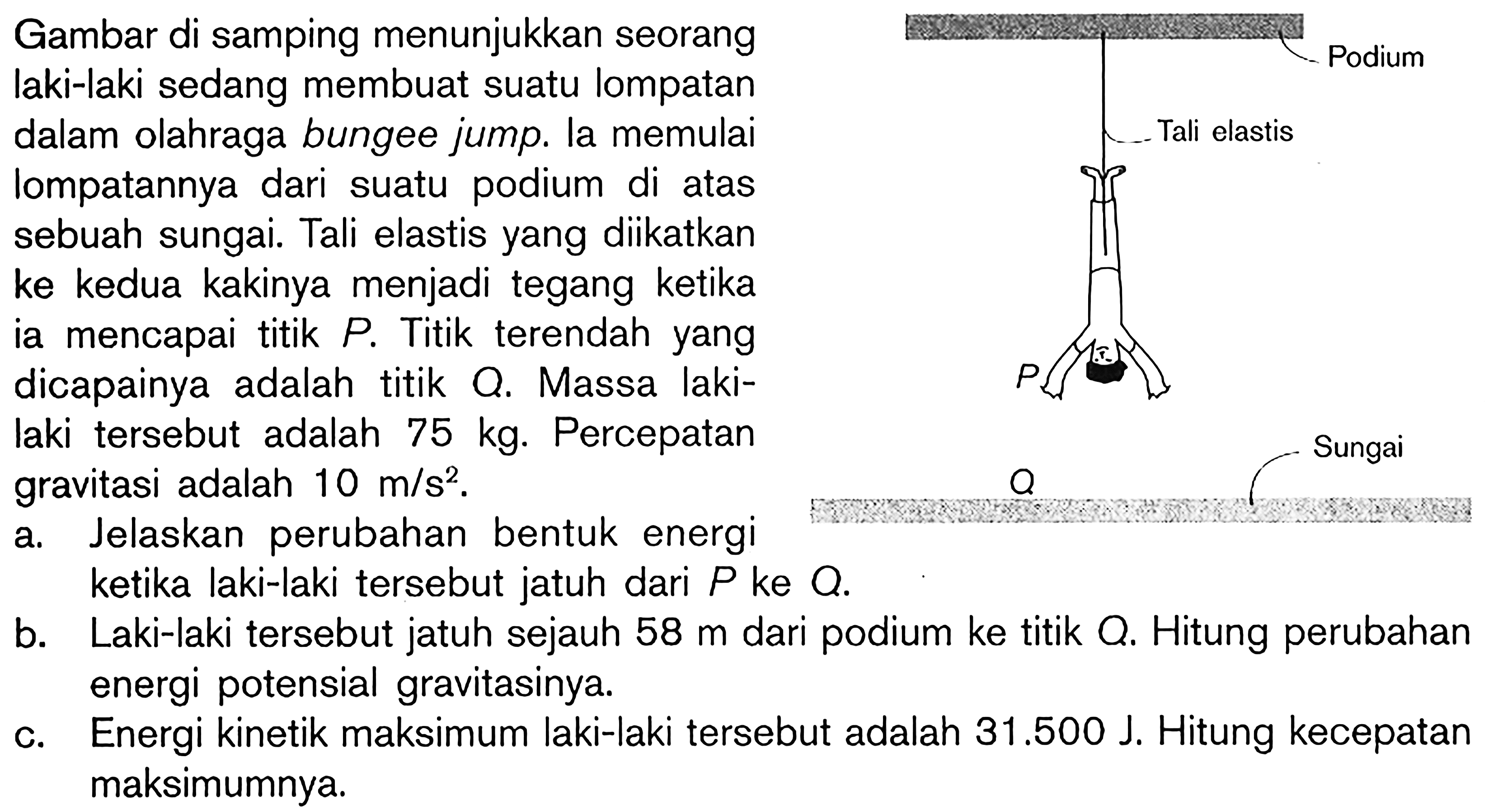 Gambar di samping menunjukkan seorang
laki-laki sedang membuat suatu lompatan
dalam olahraga bungee jump. la memulai
lompatannya dari suatu podium di atas
sebuah sungai. Tali elastis yang diikatkan
ke kedua kakinya menjadi tegang ketika
ia mencapai titik P. Titik terendah yang
dicapainya adalah titik O. Massa laki-
laki tersebut adalah 75 kg. Percepatan
gravitasi adalah 10 m/s^2.
Podium Tali elastis P Q Sungai

a. Jelaskan perubahan bentuk energi
ketika laki-laki tersebut jatuh dari P ke O.
b. Laki-laki tersebut jatuh sejauh 58 m dari podium ke titik O. Hitung perubahan energi potensial gravitasinya.
c. Energi kinetik maksimum laki-laki tersebut adalah 31.500 J. Hitung kecepatan maksimumnya.