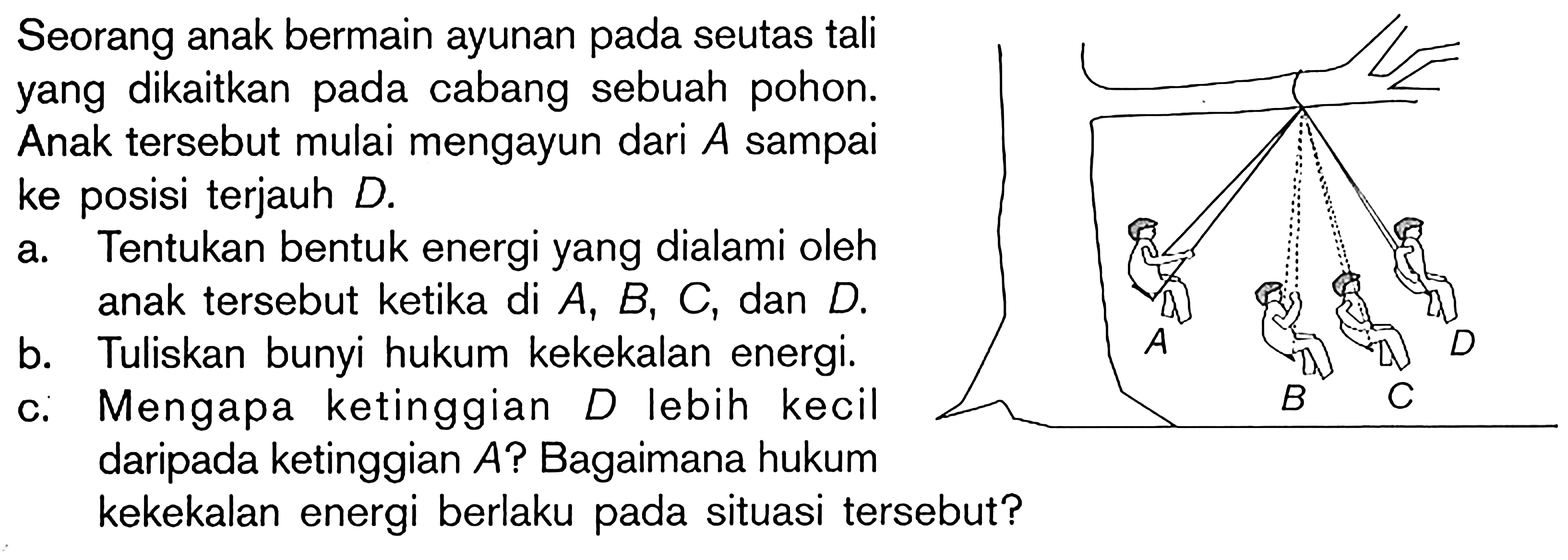 Seorang anak bermain ayunan pada seutas tali yang dikaitkan pada cabang sebuah pohon. Anak tersebut mulai mengayun dari A sampai ke posisi terjauh D.
a. Tentukan bentuk energi yang dialami oleh anak tersebut ketika di A, B, C, dan D.
b. Tuliskan bunyi hukum kekekalan energi.
c. Mengapa ketinggian D lebih kecil daripada ketinggian A? Bagaimana hukum
kekekalan energi berlaku pada situasi tersebut?