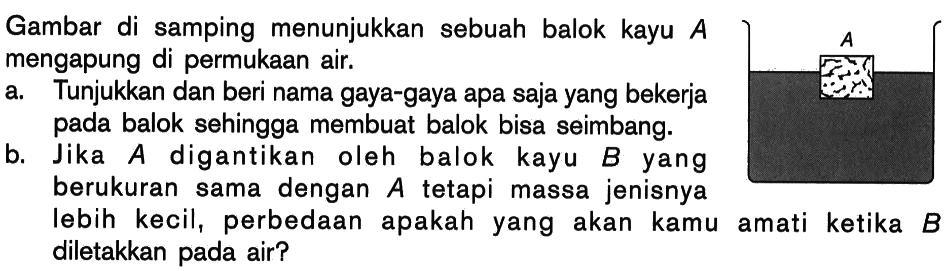 Gambar di samping menunjukkan sebuah balok kayu A mengapung di permukaan air.a. Tunjukkan dan beri nama gaya-gaya apa saja yang bekerja bada balok sehingga membuat balok bisa seimbang.b. Jika A digantikan oleh balok kayu B yang berukuran sama dengan A tetapi massa jenisnya lebih kecil, perbedaan apakah yang akan kamu amati ketika B diletakkan pada air?