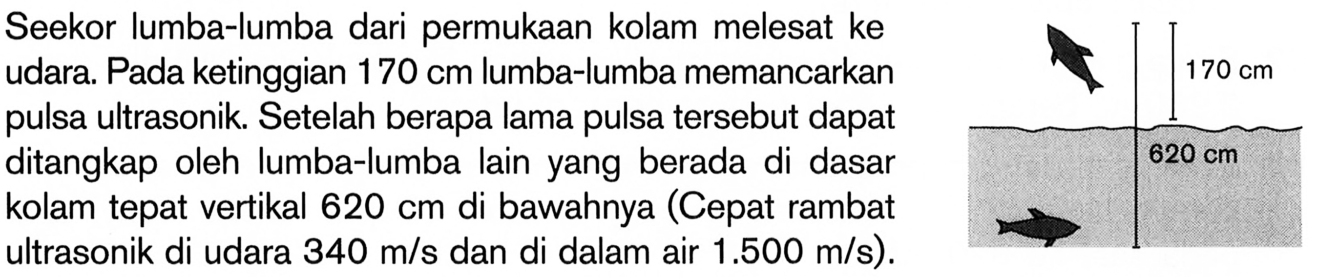 Seekor lumba-lumba dari permukaan kolam melesat ke udara. Pada ketinggian  170 cm  lumba-lumba memancarkan pulsa ultrasonik. Setelah berapa lama pulsa tersebut dapat ditangkap oleh lumba-lumba lain yang berada di dasar kolam tepat vertikal  620 cm  di bawahnya (Cepat rambat ultrasonik di udara  340 m/s  dan di dalam air  1.500 m/s  ).