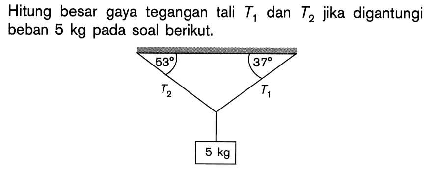 Hitung besar gaya tegangan tali T1 dan T2 jika digantungi beban 5 kg pada soal berikut.