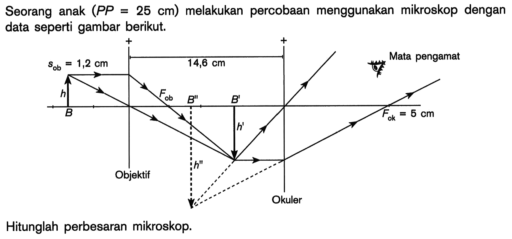 Seorang anak  (PP=25 cm)  melakukan percobaan menggunakan mikroskop dengan data seperti gambar berikut.+ -sob=1,2 cm 14,6 cm Mata pengamath Fob B B'' B' Fok=5 cmh'Obyektif h'' OkulerHitunglah perbesaran mikroskop.