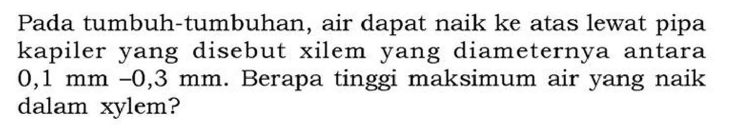 Pada tumbuh-tumbuhan, air dapat naik ke atas lewat pipa kapiler yang disebut xilem yang diameternya antara 0,1 mm-0,3 mm . Berapa tinggi maksimum air yang naik dalam xylem?