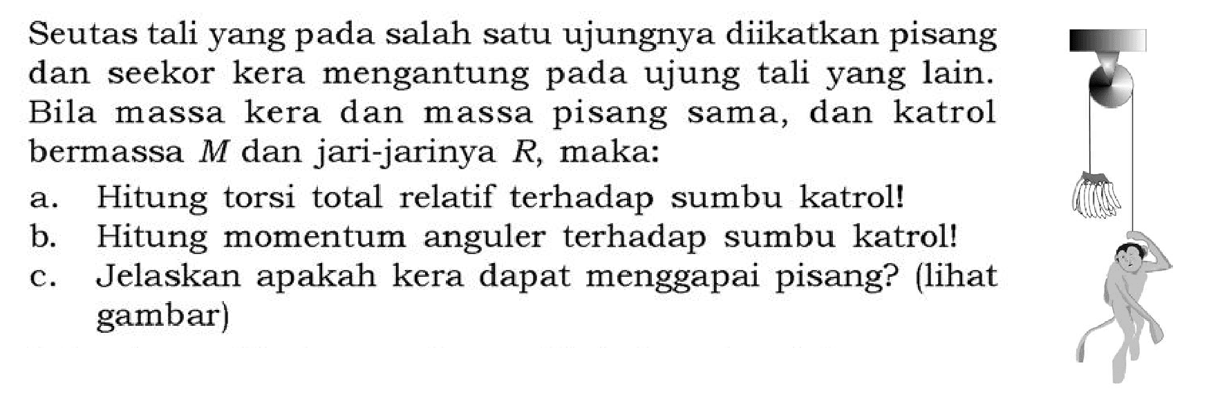 Seutas tali yang pada salah satu ujungnya diikatkan pisang dan seekor kera mengantung pada ujung tali yang lain. Bila massa kera dan massa pisang sama, dan katrol bermassa M dan jari-jarinya R , maka:
a. Hitung torsi total relatif terhadap sumbu katrol!
b. Hitung momentum anguler terhadap sumbu katrol!
c. Jelaskan apakah kera dapat menggapai pisang? (lihat gambar)