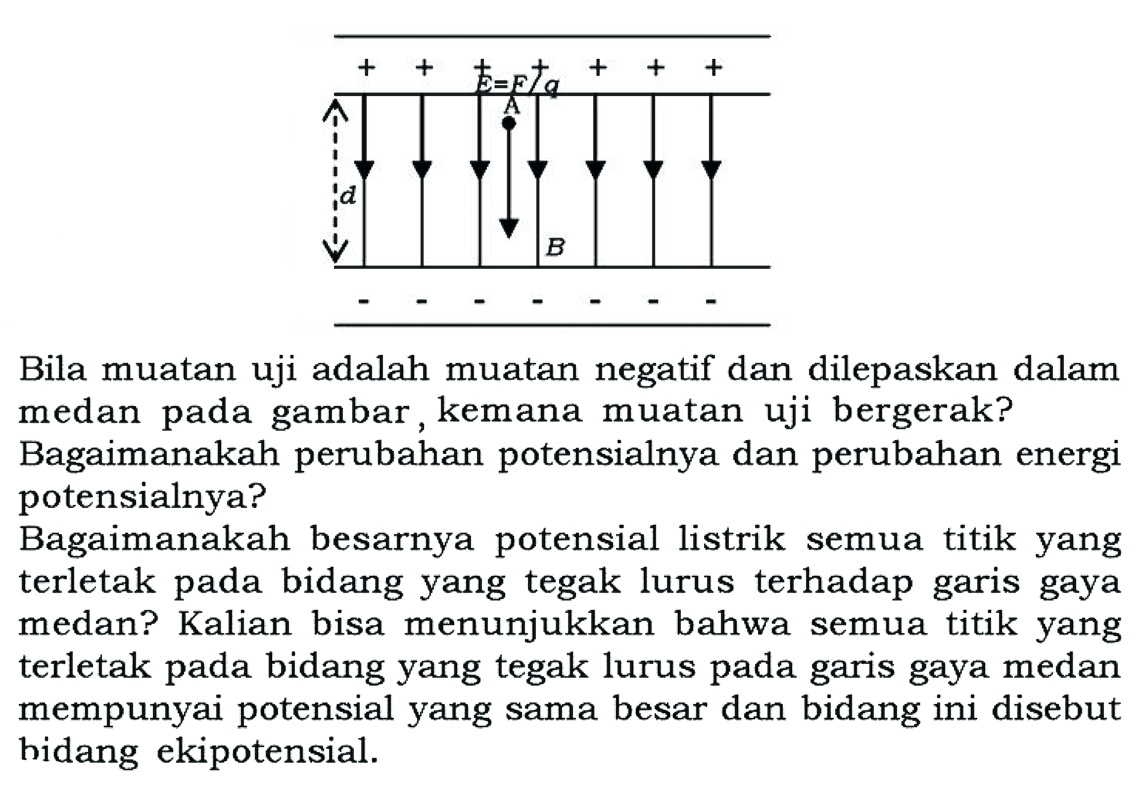 Bila muatan uji adalah muatan negatif dan dilepaskan dalam medan pada gambar, kemana muatan uji bergerak?
Bagaimanakah perubahan potensialnya dan perubahan energi potensialnya?
Bagaimanakah besarnya potensial listrik semua titik yang terletak pada bidang yang tegak lurus terhadap garis gaya medan? Kalian bisa menunjukkan bahwa semua titik yang terletak pada bidang yang tegak lurus pada garis gaya medan mempunyai potensial yang sama besar dan bidang ini disebut bidang ekipotensial.