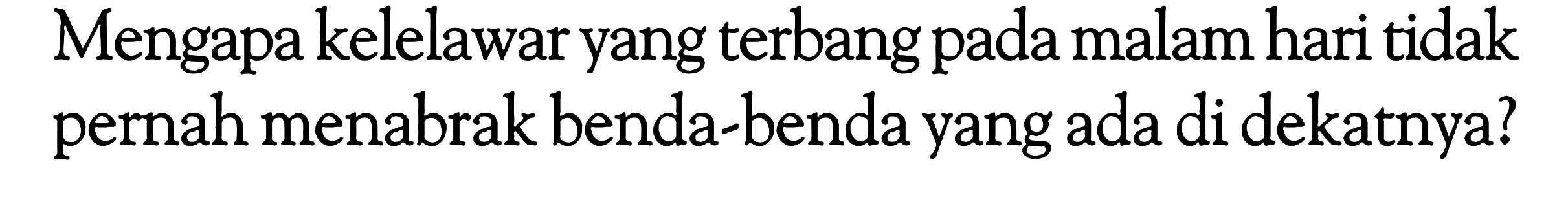 Mengapa kelelawar yang terbang pada malam hari tidak pernah menabrak benda-benda yang ada di dekatnya?