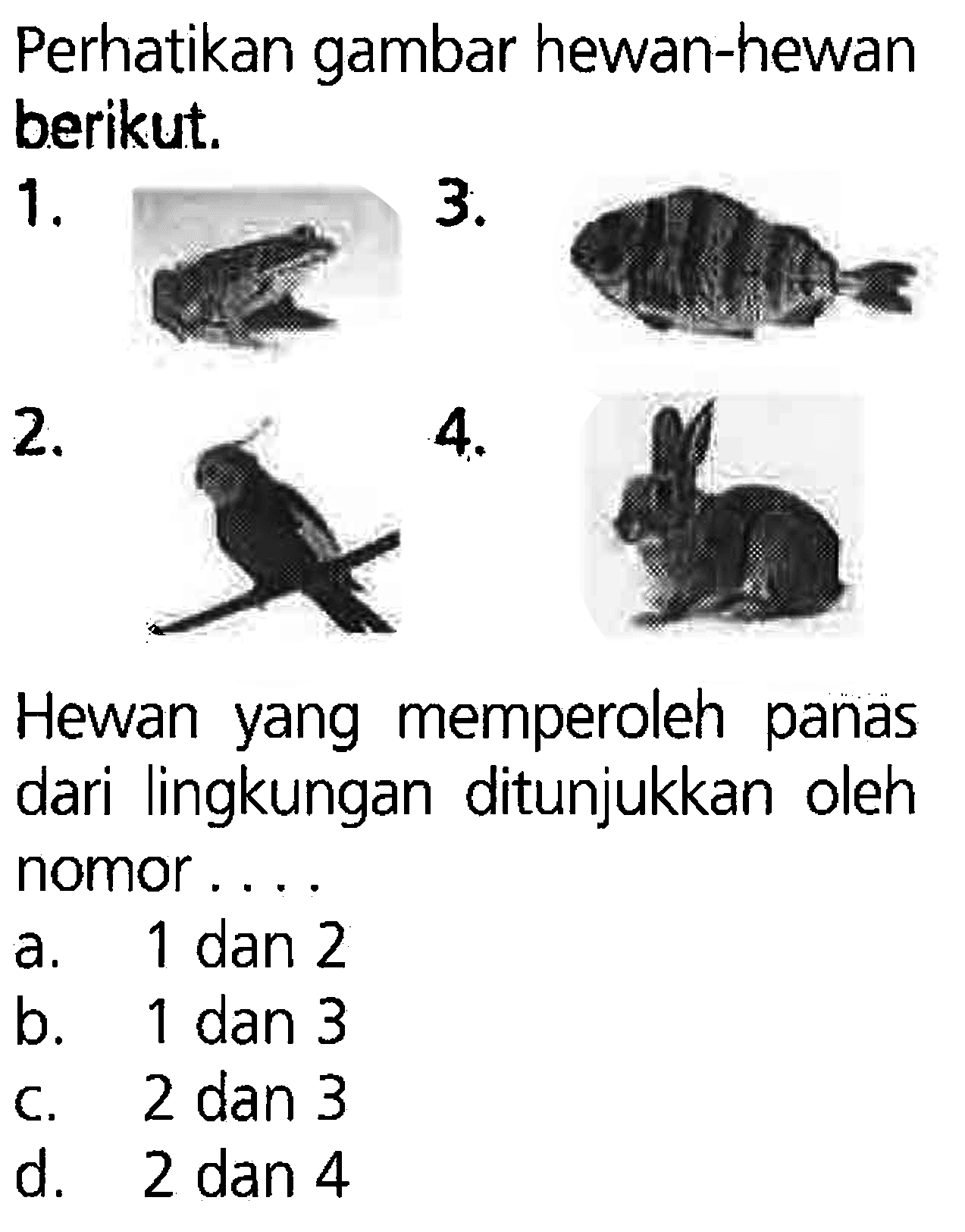 Perhatikan gambar hewan-hewan berikut, 1. 3. 2. 4. Hewan yang memperoleh panas dari lingkungan ditunjukkan oleh nomor