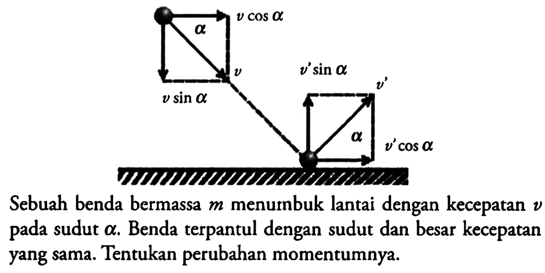 a v cos a
v v' sin a
v sin a v'
a
v' cos a
Sebuah benda bermassa  m  menurnbuk lantai dengan kecepatan v pada sudut a. Benda terpantul dengan sudut dan besar kecepatan yang sama. Tentukan perubahan momentumnya.