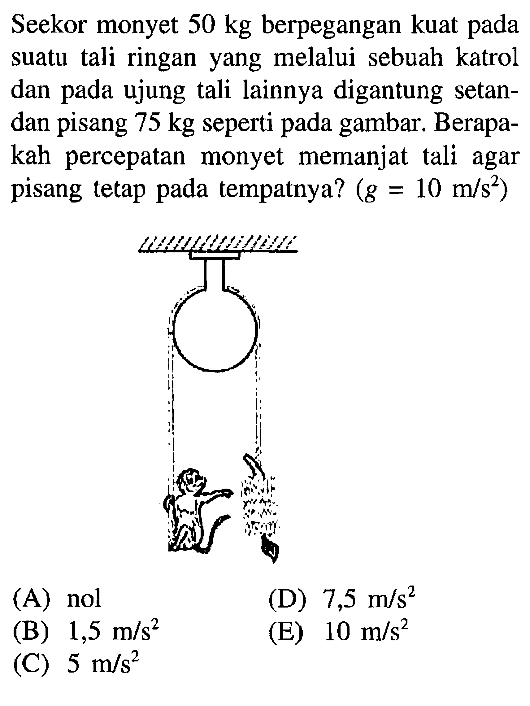 Seekor monyet  50 kg  berpegangan kuat pada suatu tali ringan yang melalui sebuah katrol dan pada ujung tali lainnya digantung setandan pisang  75 kg  seperti pada gambar. Berapakah percepatan monyet memanjat tali agar pisang tetap pada tempatnya?  (g=10 m/s^2) 