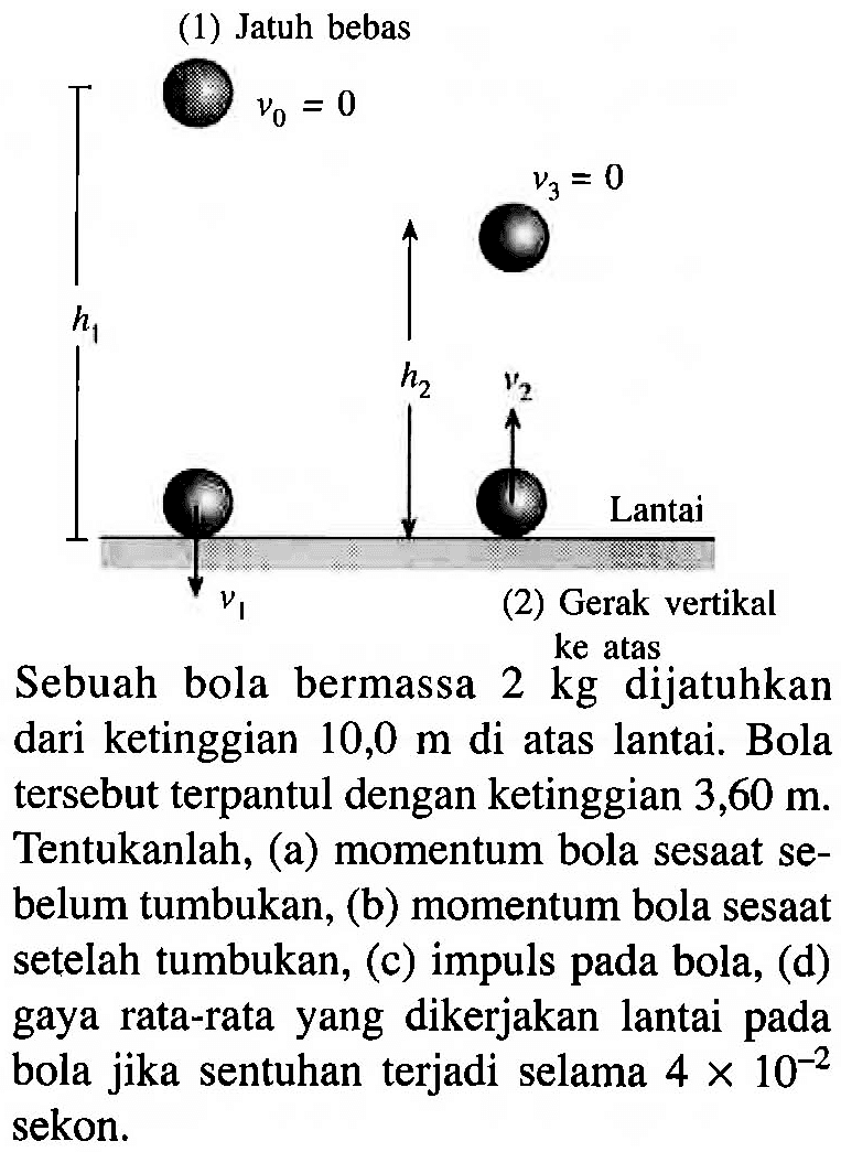 (1) Jatuh bebas V0 = 0 V3 = 0 h1 h2 v2 Lantai v1 (2) Gerak vertikal ke atas 
Sebuah bola bermassa 2 kg dijatuhkan dari ketinggian 10,0 m di atas lantai. Bola tersebut terpantul dengan ketinggian 3,60 m. Tentukanlah, (a) momentum bola sesaat sebelum tumbukan, (b) momentum bola sesaat setelah tumbukan, (c) impuls pada bola, (d) gaya rata-rata yang dikerjakan lantai pada bola jika sentuhan terjadi selama 4 x 10^(-2) sekon.