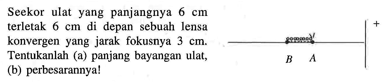 Seekor ulat yang panjangnya  6 cm  terletak  6 cm  di depan sebuah lensa konvergen yang jarak fokusnya  3 cm . Tentukanlah (a) panjang bayangan ulat, (b) perbesarannya! B A +