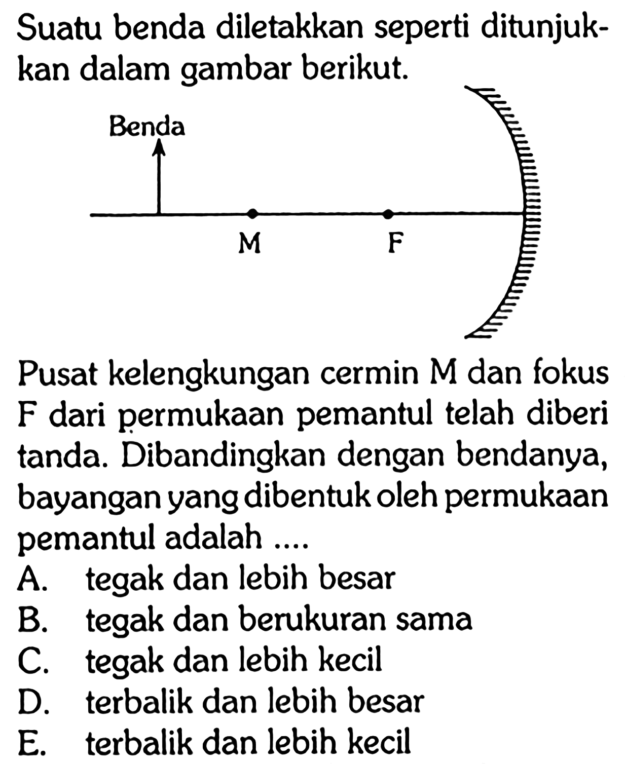 Suatu benda diletakkan seperti ditunjukkan dalam gambar berikut.Pusat kelengkungan cermin  M  dan fokus F dari permukaan pemantul telah diberi tanda. Dibandingkan dengan bendanya, bayangan yang dibentuk oleh permukaan pemantul adalah ....