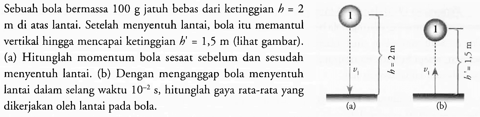 Sebuah bila bermassa 100 g jatuh bebas dari ketinggian h=2 m di atas lantai. Setelah menyentuh lantai, bola itu memantul vertikal hingga mencapai ketinggian h=1,5 m (lihat gambar). (a) hitunglah momentum bola sesaat sebelum dan sesudah menyentuh lantai (b) dengan menganggap bola menyentuh lantai dalam selang waktu 10^-2 s, hitunglah gaya rata-rata yang dikerjakan oleh lantai pada bola.
v1 a h -2 m v1 h'=1,2 m b