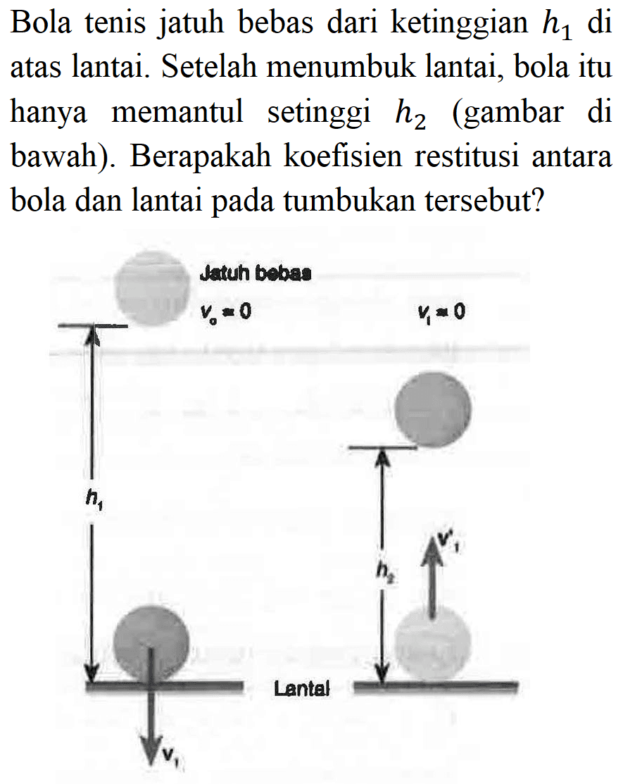 Bola tenis jatuh bebas dari ketinggian  h_(1)  di atas lantai. Setelah menumbuk lantai, bola itu hanya memantul setinggi  h_(2)  (gambar di bawah). Berapakah koefisien restitusi antara bola dan lantai pada tumbukan tersebut?