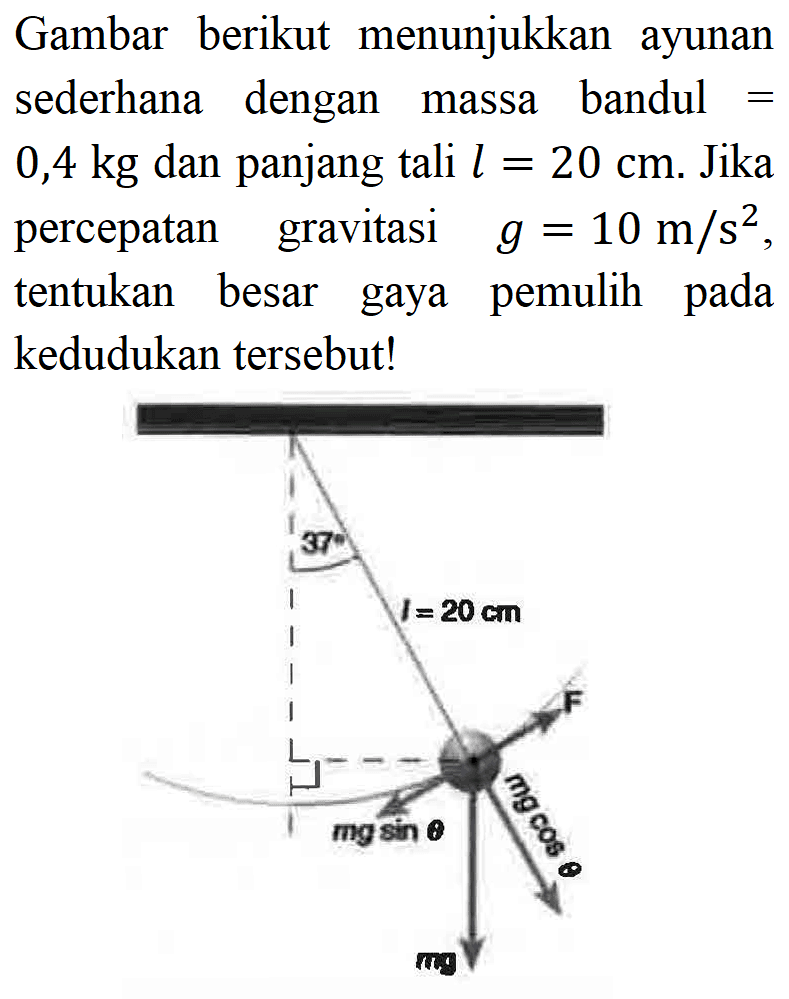 Gambar berikut menunjukkan ayunan sederhana dengan massa bandul  =   0,4 kg  dan panjang tali  l=20 cm . Jika percepatan gravitasi  g=10 m / s^(2) , tentukan besar gaya pemulih pada kedudukan tersebut!