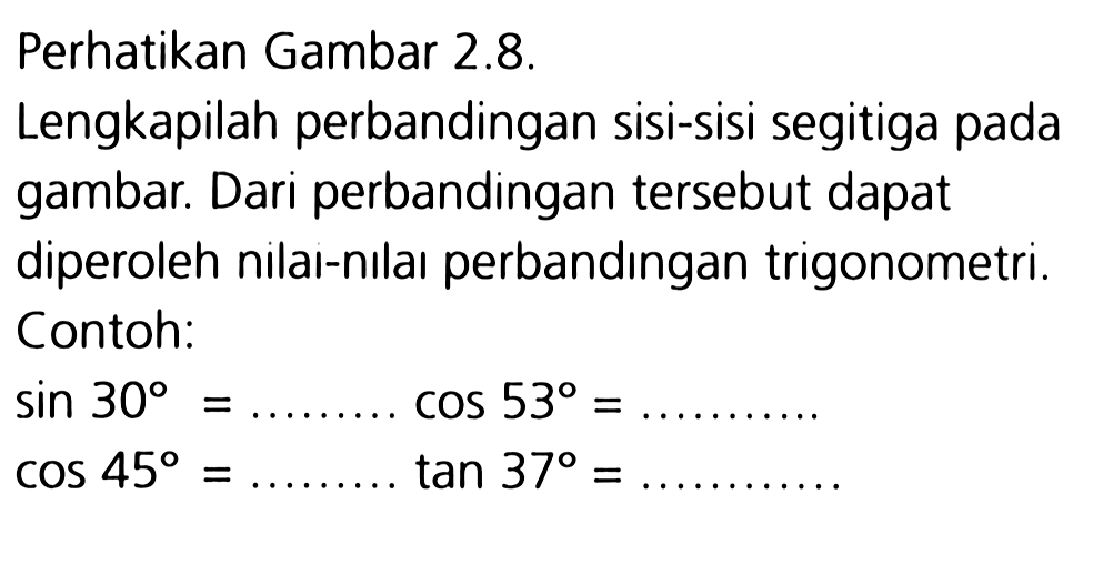 Perhatikan Gambar 2.8.
Lengkapilah perbandingan sisi-sisi segitiga pada gambar. Dari perbandingan tersebut dapat diperoleh nilai-nılaı perbandıngan trigonometri. Contoh:
 sin 30= .................  cos 53=  .................
 cos 45=.................   tan 37=  .................