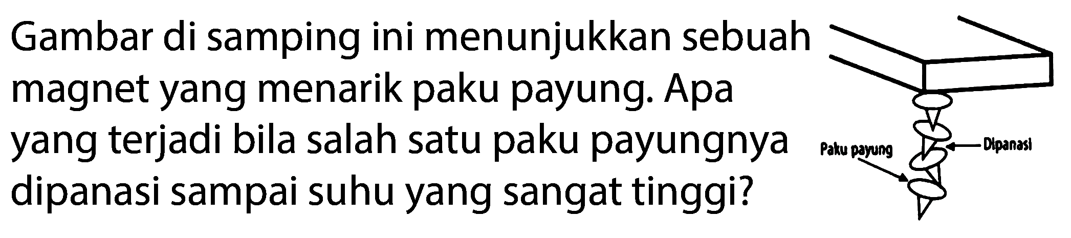 Gambar di samping ini menunjukkan sebuah magnet yang menarik paku payung. Apa yang terjadi bila salah satu paku payungnya dipanasi sampai suhu yang sangat tinggi?
Paku payung Dipanasi 