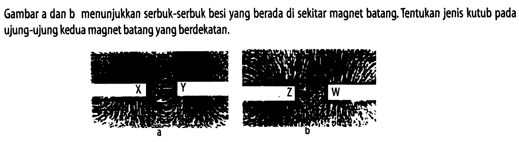 Gambar a dan  b  menunjukkan serbuk-serbuk besi yang berada di sekitar magnet batang. Tentukan jenis kutub pada ujung-ujung kedua magnet batang yang berdekatan.
X Y Z W a b