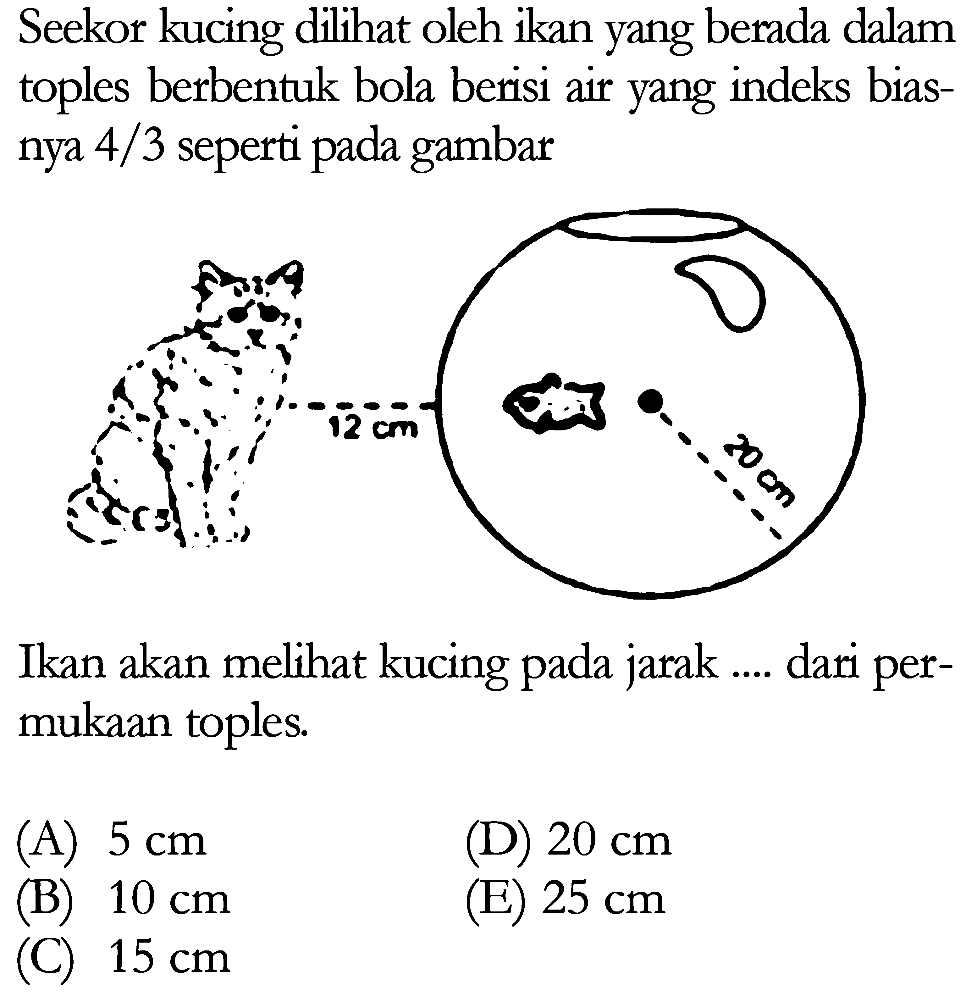 Seekor kucing dilihat oleh ikan yang berada dalam toples berbentuk bola berisi air yang indeks biasnya 4/3 seperti pada gambar12 cm 20 cm Ikan akan melihat kucing pada jarak .... dari permukaan toples.