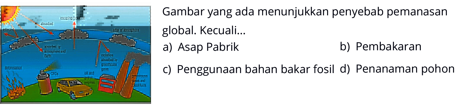 rellected absorded escaping radiation edge of atmosphere absorded by atmosphere Earth detorestation CFCs oil and petrol engines radiation absorbed by greenhouse gases greenhouse gases and fossil fuels  Gambar yang ada menunjukkan penyebab pemanasan global. Kecuali...
a) Asap Pabrik
b) Pembakaran
c) Penggunaan bahan bakar fosil
d) Penanaman pohon