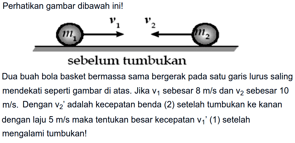 Perhatikan gambar dibawah ini!
Dua buah bola basket bermassa sama bergerak pada satu garis lurus saling mendekati seperti gambar di atas. Jika  v_(1)  sebesar  8 m / s  dan  v_(2)  sebesar 10  m / s . Dengan  v_(2)  ' adalah kecepatan benda (2) setelah tumbukan ke kanan dengan laju  5 m / s  maka tentukan besar kecepatan  v_(1)/( )'(1)  setelah mengalami tumbukan!