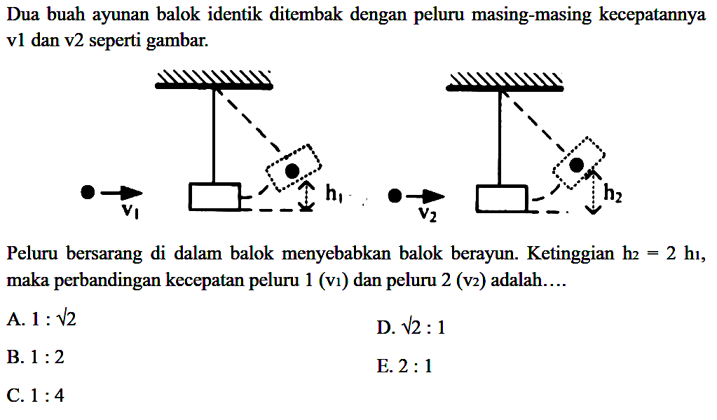 Dua buah ayunan balok identik ditembak dengan peluru masing-masing kecepatannya v1 dan v2 seperti gambar.

Peluru bersarang di dalam balok menyebabkan balok berayun. Ketinggian  h_(2)=2 ~h_(1) , maka perbandingan kecepatan peluru  1(v_(1))  dan peluru  2(v_(2))  adalah....
A.  1: akar(2) 
D.  akar(2): 1 
B.  1: 2 
E.  2: 1 
C.  1: 4 