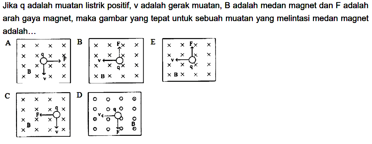 Jika q adalah muatan listrik positif, v adalah gerak muatan, B adalah medan magnet dan F adalah arah gaya magnet, maka gambar yang tepat untuk sebuah muatan yang melintasi medan magnet adalah 
A. q F B v B. F v q B C. q F B v D. q v B F E. F v q B 