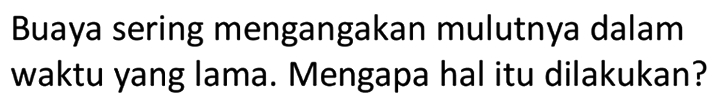 Buaya sering mengangakan mulutnya dalam waktu yang lama. Mengapa hal itu dilakukan?