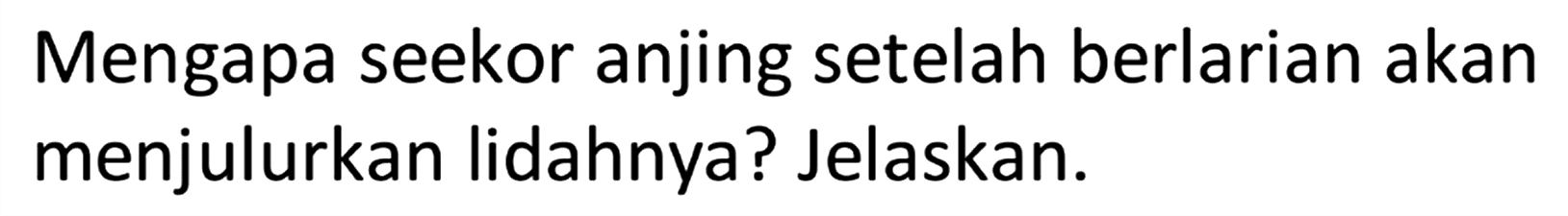 Mengapa seekor anjing setelah berlarian akan menjulurkan lidahnya? Jelaskan.