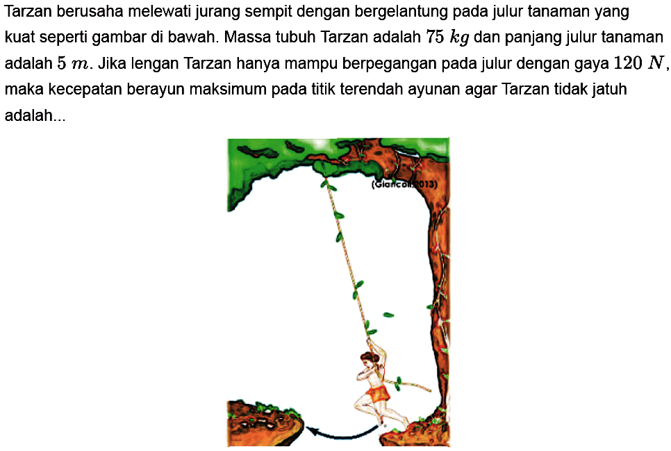 Tarzan berusaha melewati jurang sempit dengan bergelantung pada julur tanaman yang kuat seperti gambar di bawah. Massa tubuh Tarzan adalah  75 kg  dan panjang julur tanaman adalah  5 m . Jika lengan Tarzan hanya mampu berpegangan pada julur dengan gaya  120 N , maka kecepatan berayun maksimum pada titik terendah ayunan agar Tarzan tidak jatuh adalah...