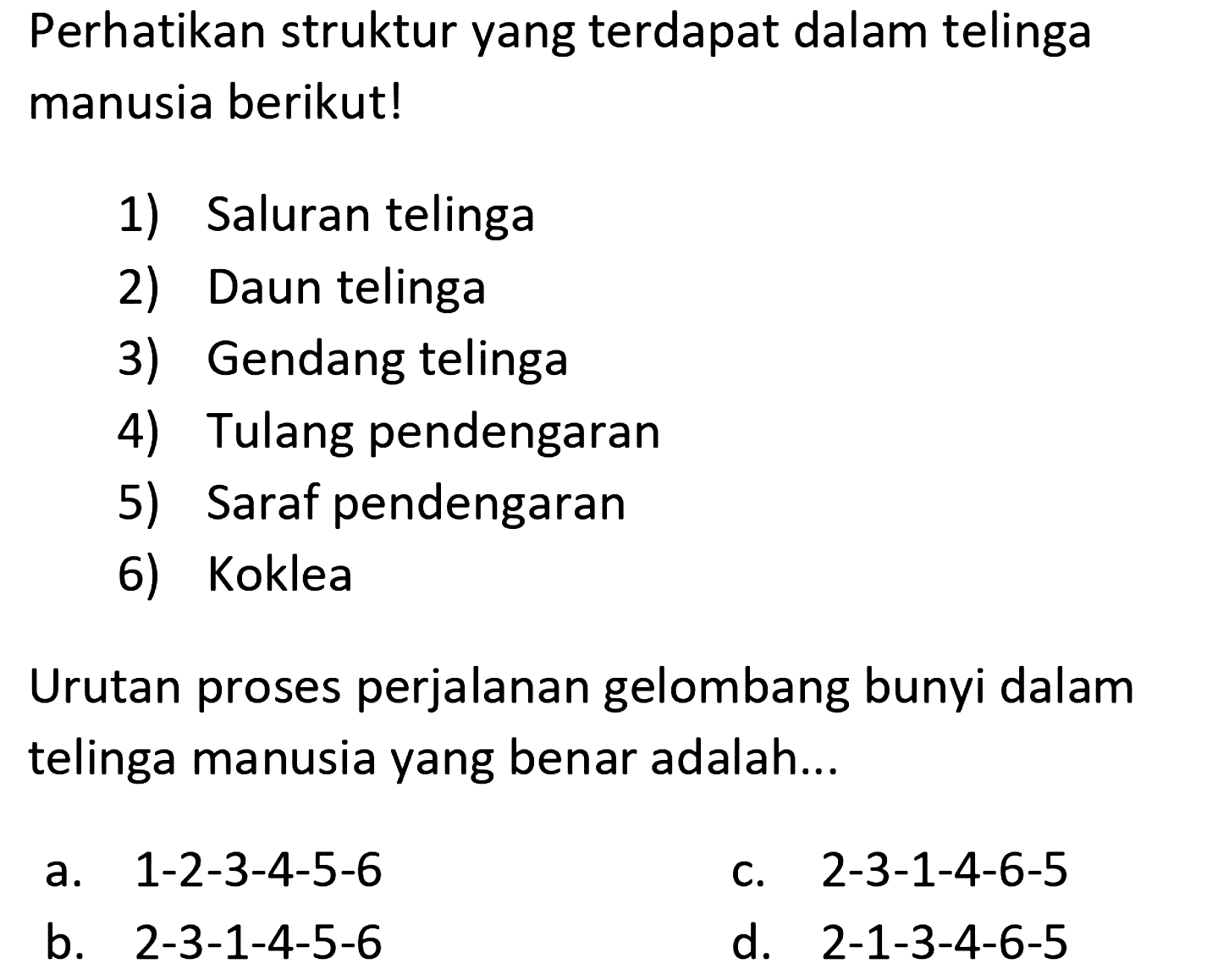 Perhatikan struktur yang terdapat dalam telinga manusia berikut!
1) Saluran telinga
2) Daun telinga
3) Gendang telinga
4) Tulang pendengaran
5) Saraf pendengaran
6) Koklea
Urutan proses perjalanan gelombang bunyi dalam telinga manusia yang benar adalah...
a. 1-2-3-4-5-6
c. 2-3-1-4-6-5
b.  2-3-1-4-5-6 
d. 2-1-3-4-6-5