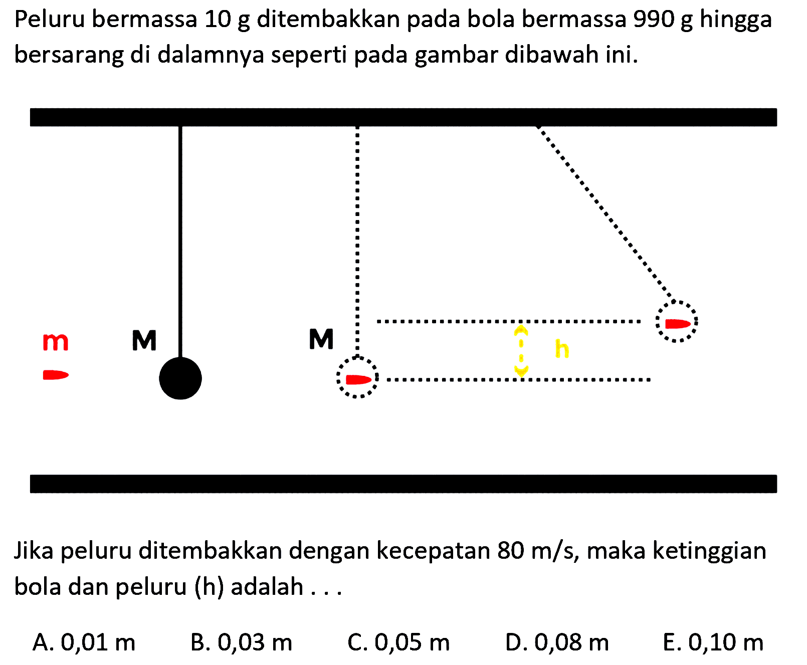 Peluru bermassa  10 ~g  ditembakkan pada bola bermassa  990 ~g  hingga bersarang di dalamnya seperti pada gambar dibawah ini.

Jika peluru ditembakkan dengan kecepatan  80 m / s , maka ketinggian bola dan peluru (h) adalah ...
A.  0,01 m 
B.  0,03 m 
C.  0,05 m 
D.  0,08 m 
E.  0,10 m 