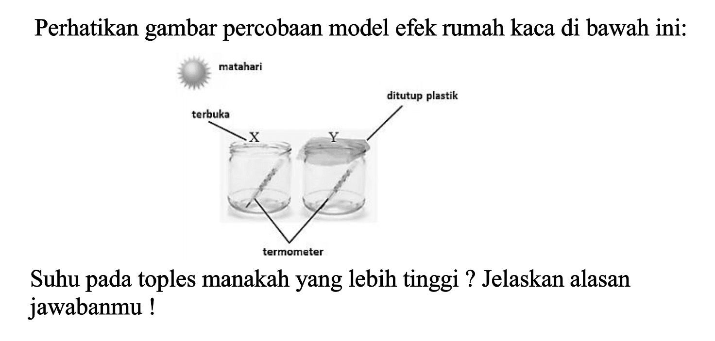 Perhatikan gambar percobaan model efek rumah kaca di bawah ini:
matahari
ditutup plastik
terbuka
X Y
termometer
Suhu pada toples manakah yang lebih tinggi ? Jelaskan alasan jawabanmu !