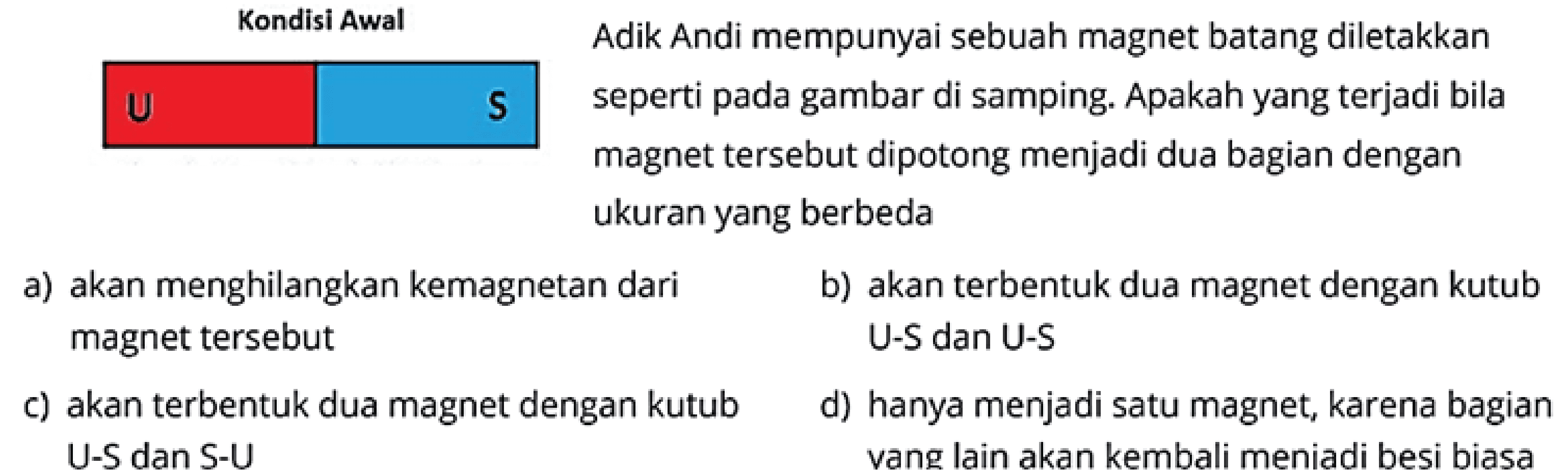 Kondisi Awal Adik Andi mempunyai sebuah magnet batang diletakkan seperti pada gambar di samaping. Apakah yang terjadi bila magnet tersebut dipotong menjadi dua bagian dengan ukuran yang berbeda 
a) akan menghilangkan kemagnetan dari magnet tersebut 
b) akan terbentuk dua magnet dengan kutub U-S dan U-S 
c) akan terbentuk dua magnet dengan kutub U-S dan S-U 
d) hanya menjadi satu magnet, karena bagian yang lain akan kembali menjadi besi biasa 