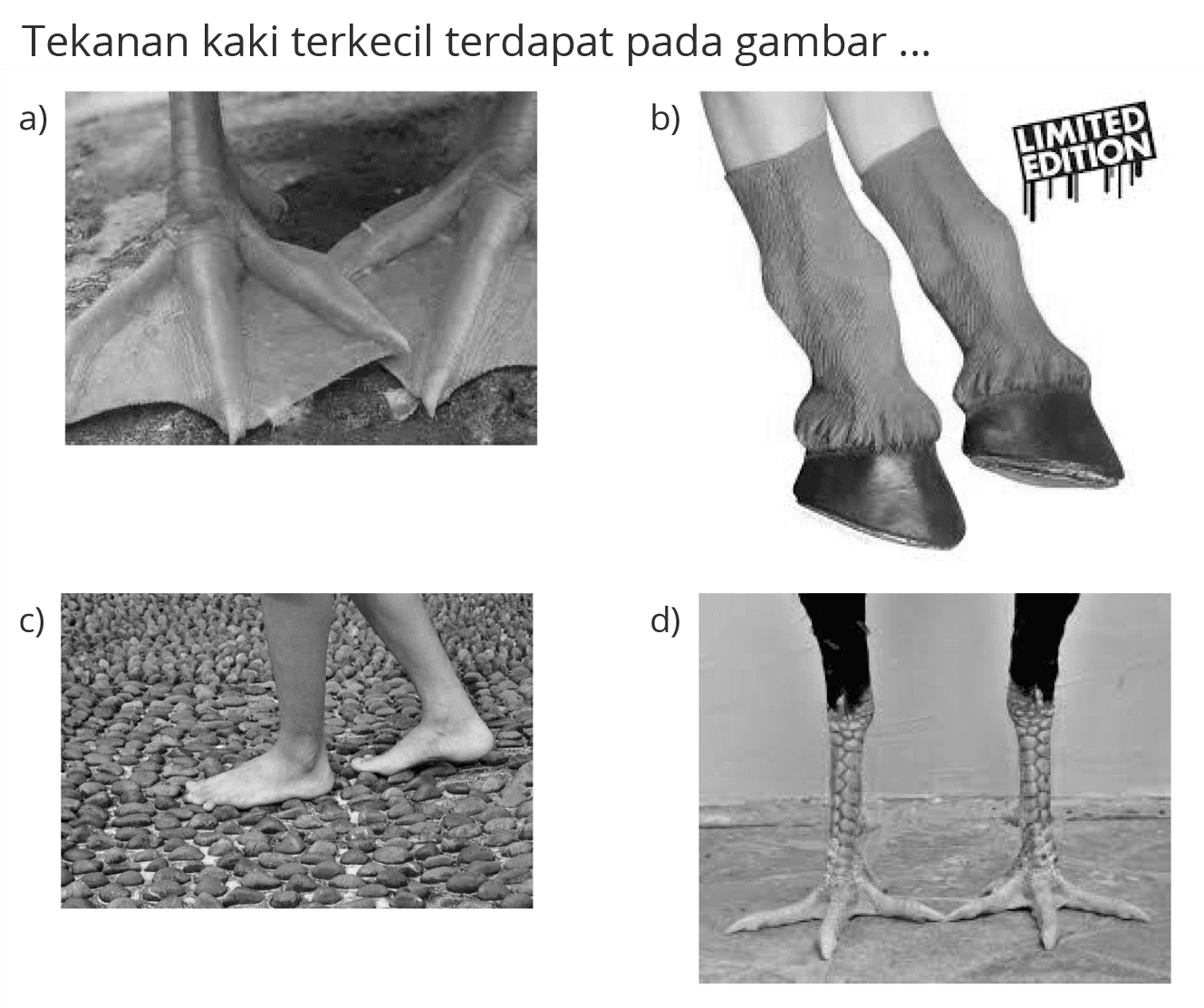 Tekanan kaki terkecil terdapat pada gambar ...
a)
c)