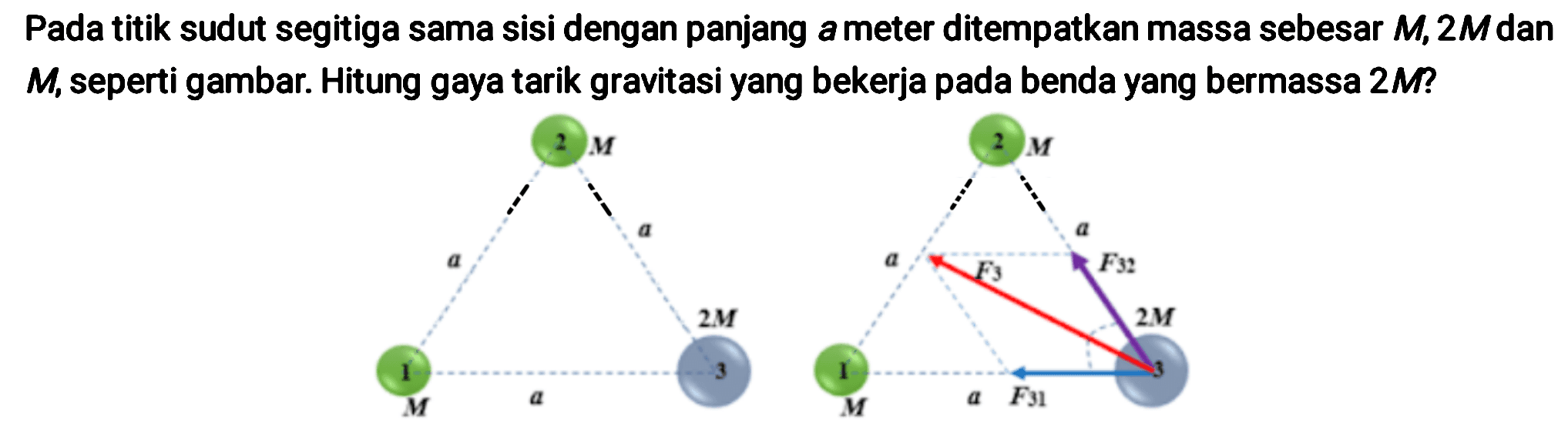 Pada titik sudut segitiga sama sisi dengan panjang a meter ditempatkan massa sebesar  M, 2 M  dan  M , seperti gambar. Hitung gaya tarik gravitasi yang bekerja pada benda yang bermassa  2 M ?