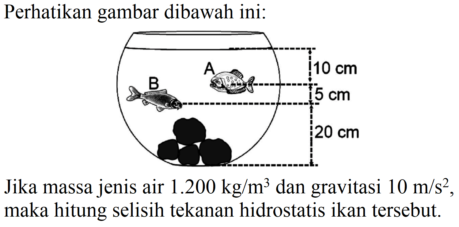 Perhatikan gambar dibawah ini:
Jika massa jenis air  1.200 kg / m^(3)  dan gravitasi  10 m / s^(2) , maka hitung selisih tekanan hidrostatis ikan tersebut.