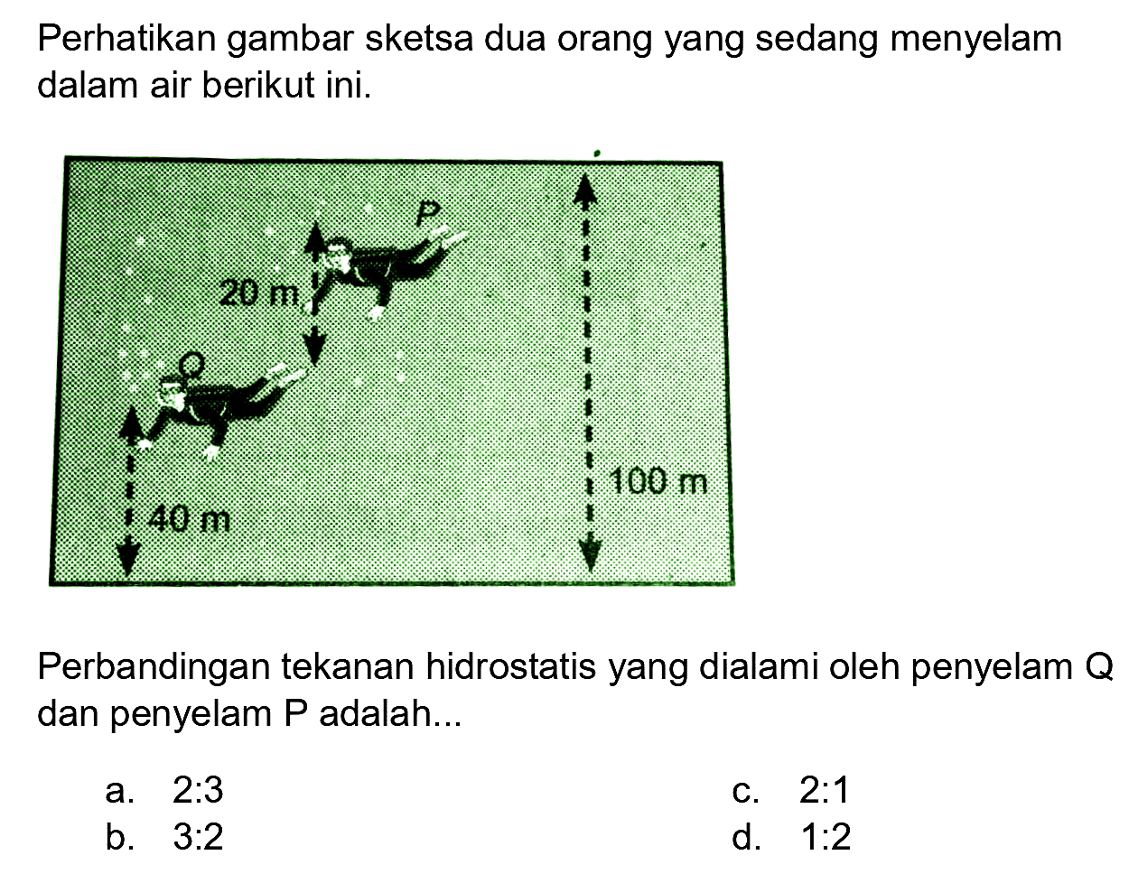 Perhatikan gambar sketsa dua orang yang sedang menyelam dalam air berikut ini.
Perbandingan tekanan hidrostatis yang dialami oleh penyelam  Q  dan penyelam P adalah...
a.  2: 3 
c.  2: 1 
b.  3: 2 
d.  1: 2 