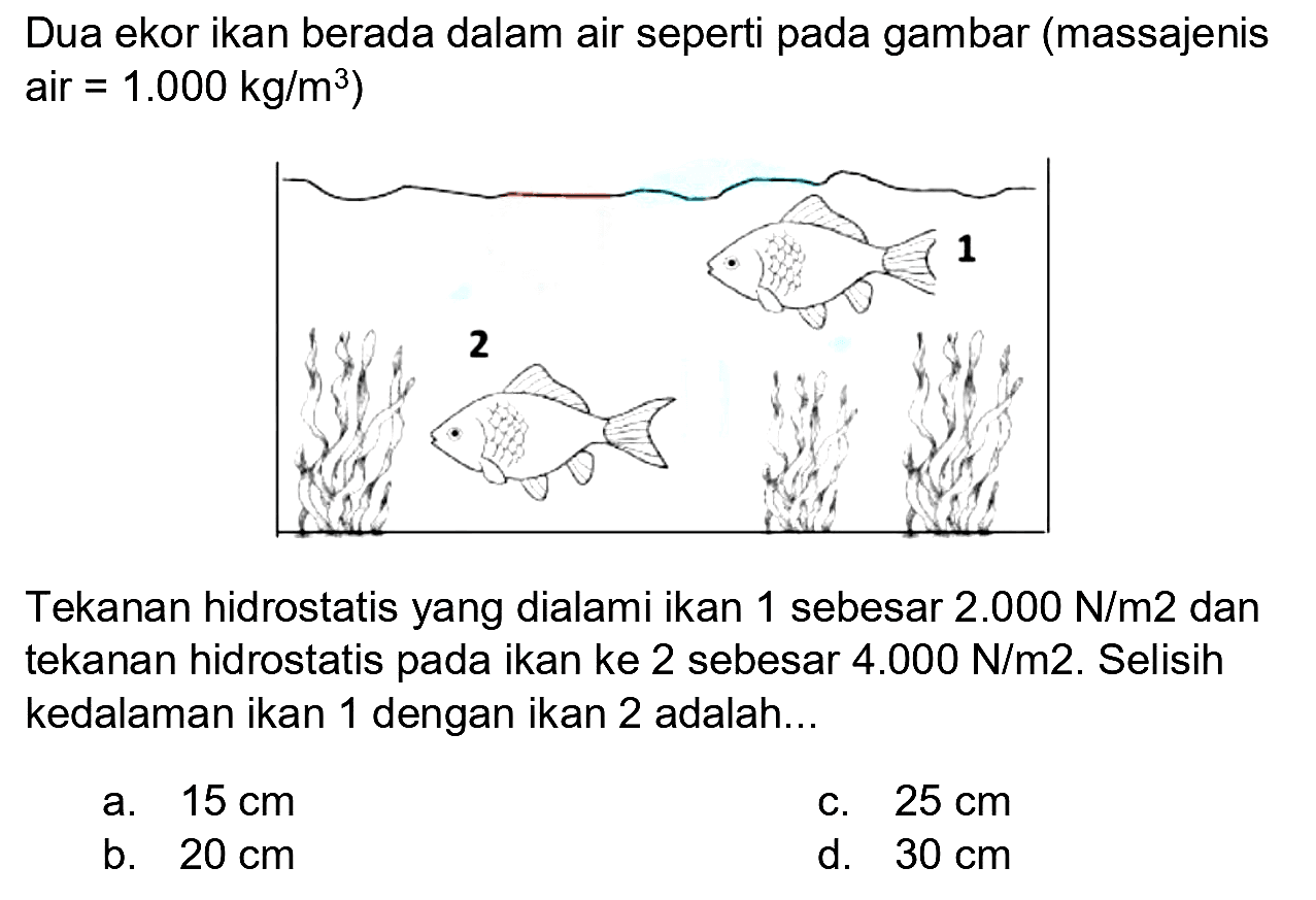 Dua ekor ikan berada dalam air seperti pada gambar (massajenis air  =1.000 kg / m^(3)  )

Tekanan hidrostatis yang dialami ikan 1 sebesar  2.000 ~N / m 2  dan tekanan hidrostatis pada ikan ke 2 sebesar  4.000 ~N / m 2 . Selisih kedalaman ikan 1 dengan ikan 2 adalah...
a.  15 cm 
c.  25 cm 
b.  20 cm 
d.  30 cm 