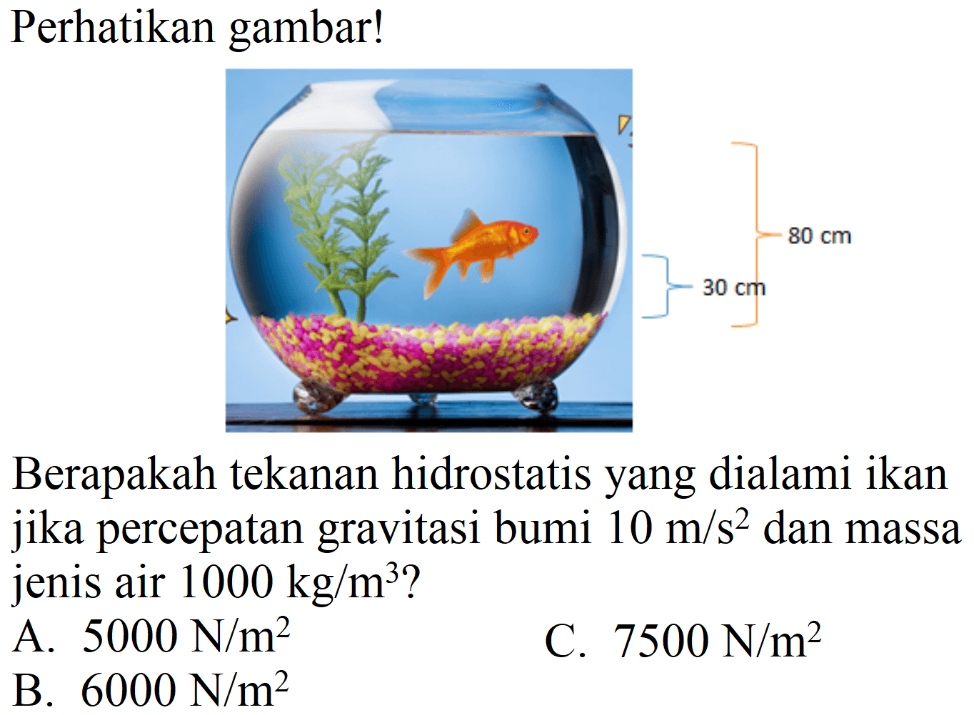 Perhatikan gambar!
Berapakah tekanan hidrostatis yang dialami ikan jika percepatan gravitasi bumi  10 m / s^(2)  dan massa jenis air  1000 kg / m^(3)  ?
A.  5000 N / m^(2) 
C.  7500 N / m^(2) 
B.  6000 N / m^(2) 