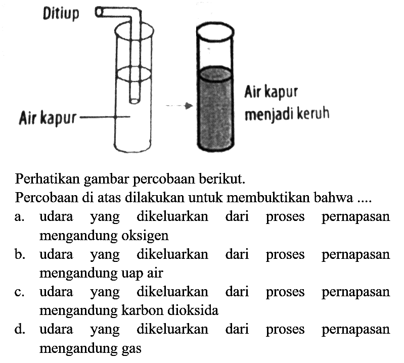 Perhatikan gambar percobaan berikut. Percobaan di atas dilakukan untuk membuktikan bahwa .... a. udara yang dikeluarkan dari proses pernapasan mengandung oksigen
b. udara yang dikeluarkan dari proses pernapasan mengandung uap air
c. udara yang dikeluarkan dari proses pernapasan mengandung karbon dioksida
d. udara yang dikeluarkan dari proses pernapasan mengandung gas