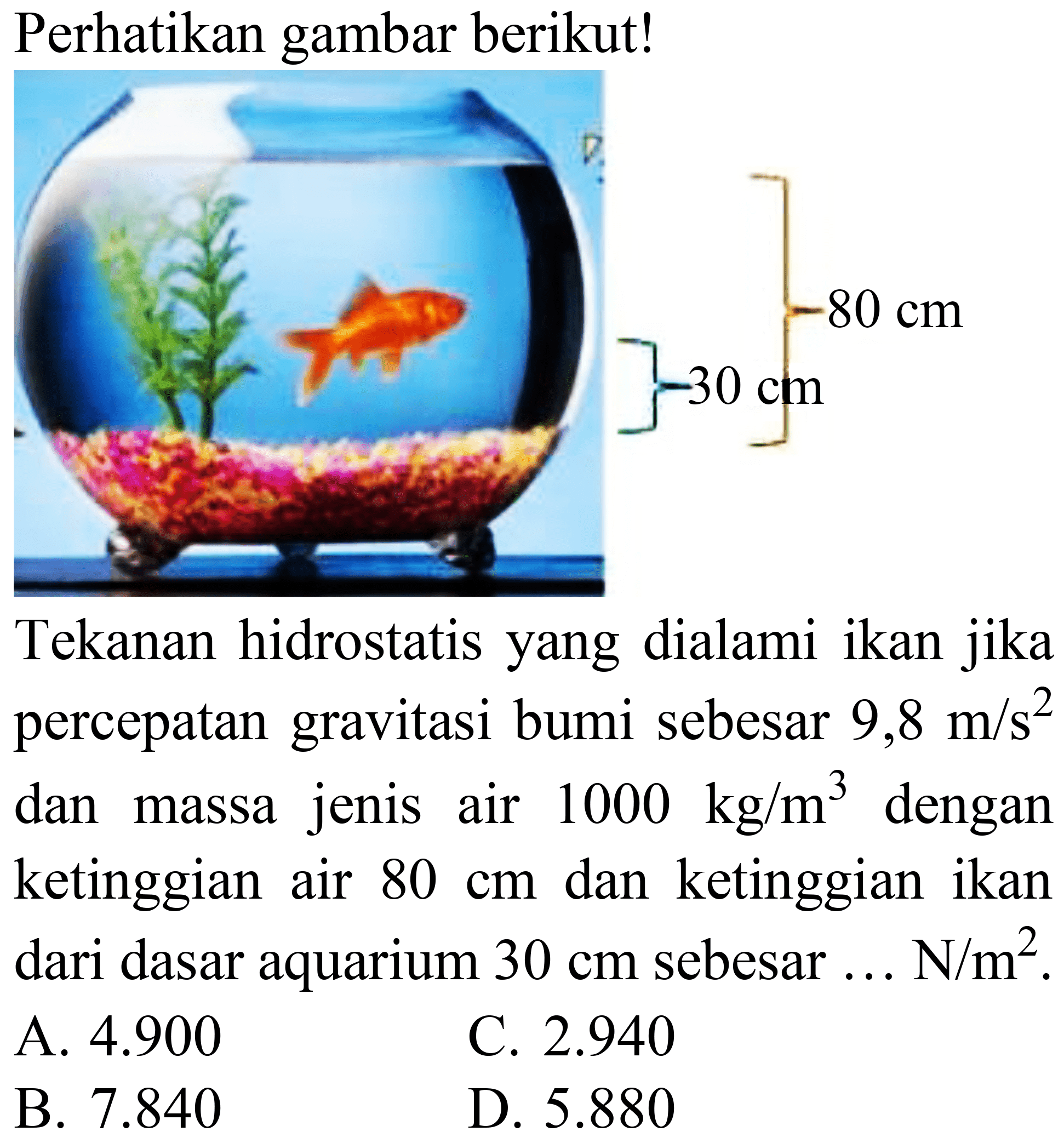 Perhatikan gambar berikut!
Tekanan hidrostatis yang dialami ikan jika percepatan gravitasi bumi sebesar  9,8 m / s^(2)  dan massa jenis air  1000 kg / m^(3)  dengan ketinggian air  80 cm  dan ketinggian ikan dari dasar aquarium  30 cm  sebesar  ... N / m^(2) .
A.  4.900 
C.  2.940 
B.  7.840 
D.  5.880 