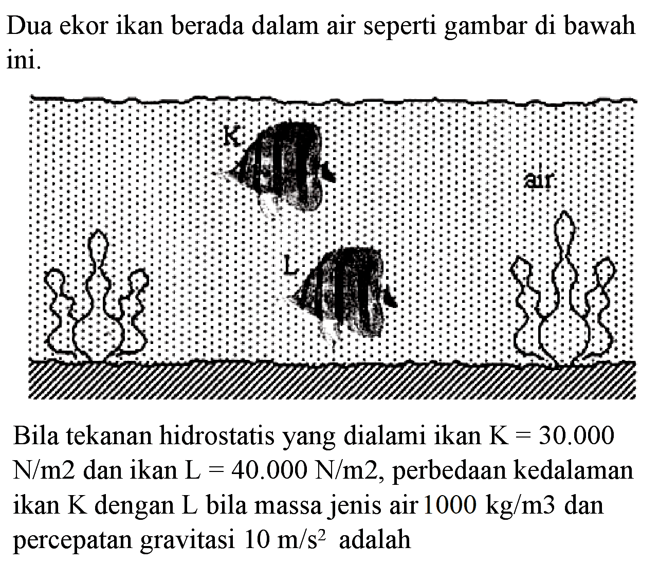 Dua ekor ikan berada dalam air seperti gambar di bawah ini.

Bila tekanan hidrostatis yang dialami ikan  K=30.000   N / m 2  dan ikan  L=40.000 ~N / m 2 , perbedaan kedalaman ikan  K  dengan  L  bila massa jenis air  100 kg / m 3  dan percepatan gravitasi  10 m / s 2  adalah