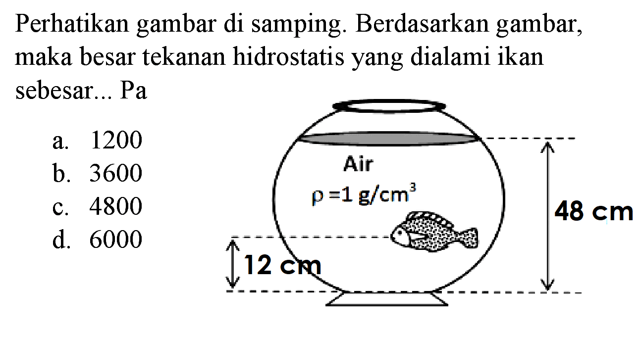 Perhatikan gambar di samping. Berdasarkan gambar, maka besar tekanan hidrostatis yang dialami ikan sebesar... Pa
a. 1200
b. 3600
c. 4800
d. 6000