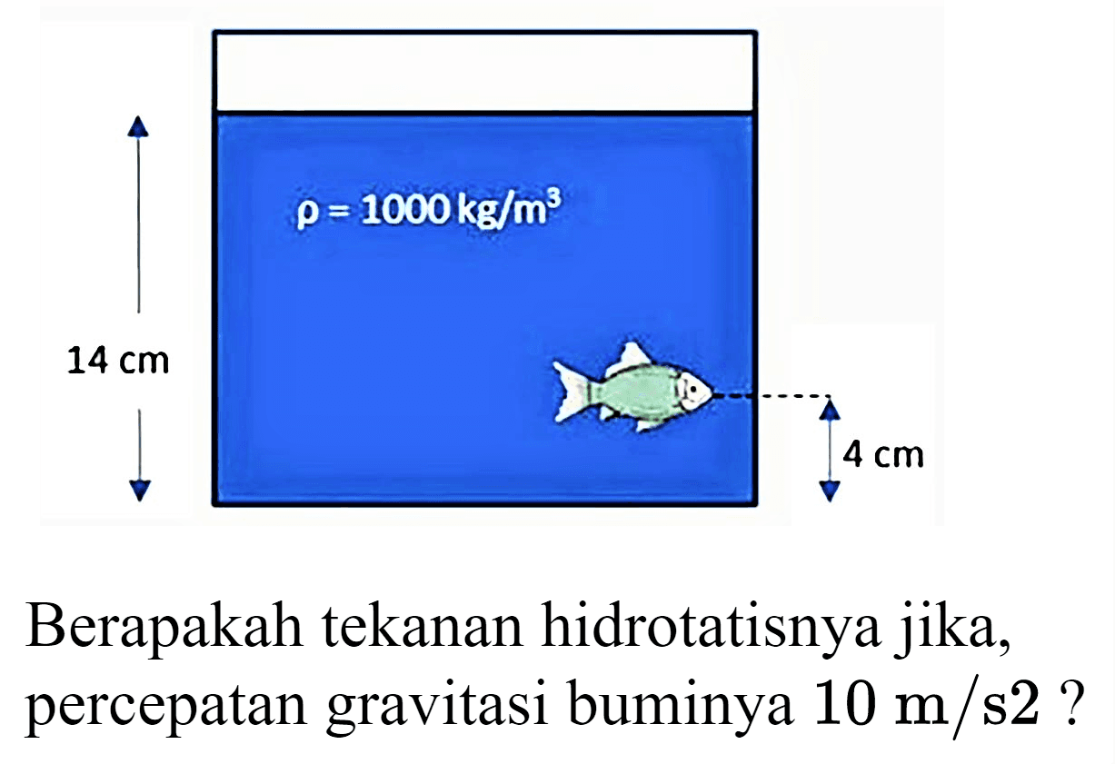 Berapakah tekanan hidrotatisnya jika, percepatan gravitasi buminya  10 m / s 2  ?