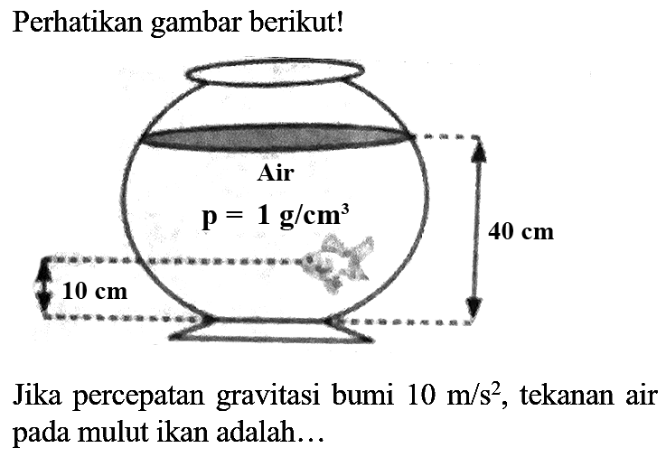 Perhatikan gambar berikut!
Jika percepatan gravitasi bumi  10 m / s^(2) , tekanan air pada mulut ikan adalah...