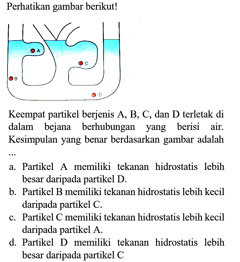 Perhatikan gambar berikut!
Keempat partikel berjenis  A, B, C , dan  D  terletak di dalam bejana berhubungan yang berisi air. Kesimpulan yang benar berdasarkan gambar adalah
a. Partikel A memiliki tekanan hidrostatis lebih besar daripada partikel D.
b. Partikel B memiliki tekanan hidrostatis lebih kecil daripada partikel C.
c. Partikel C memiliki tekanan hidrostatis lebih kecil daripada partikel A.
d. Partikel D memiliki tekanan hidrostatis lebih besar daripada partikel C