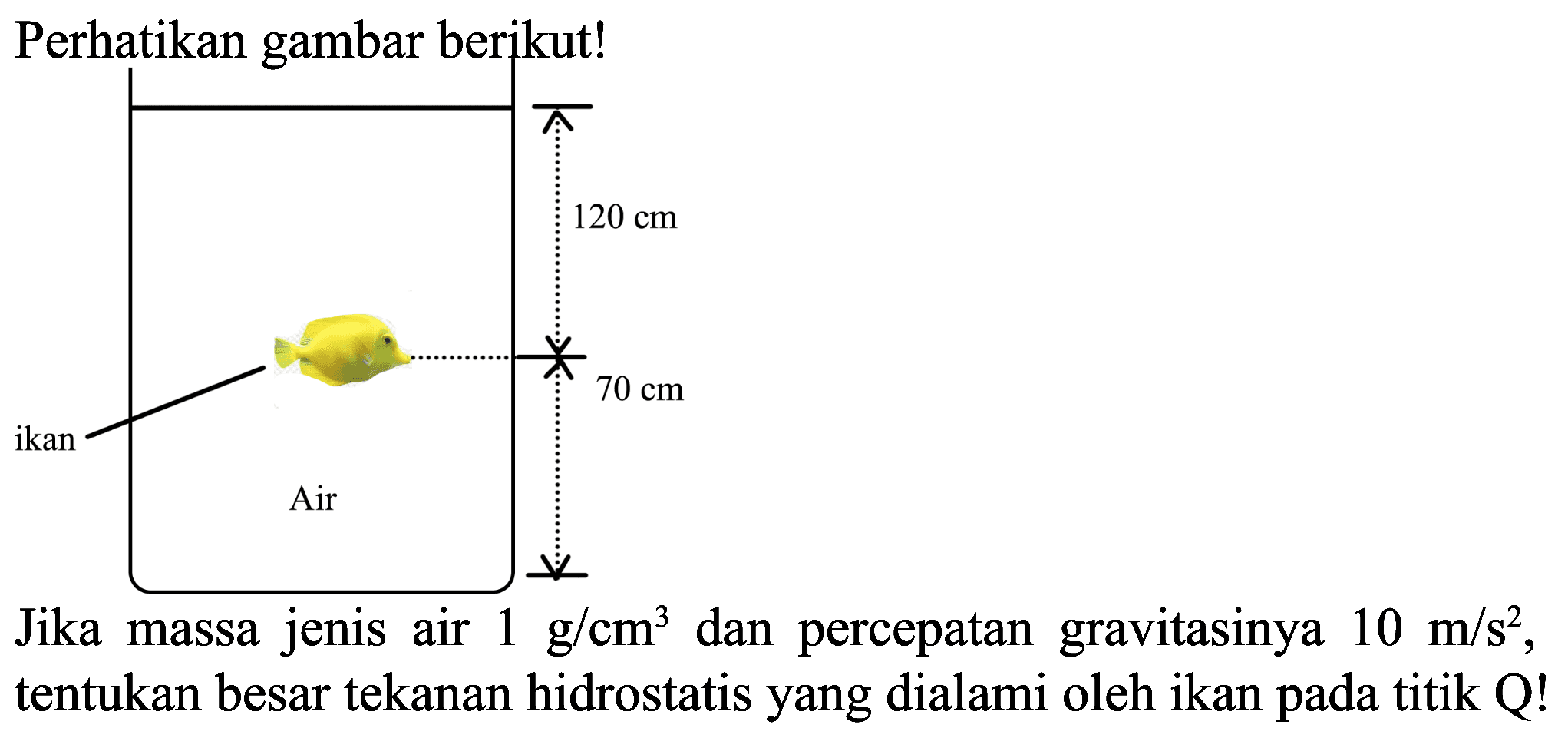 Perhatikan gambar berikut!
Jika massa jenis air  1 ~g / cm^(3)  dan percepatan gravitasinya  10 m / s^(2) , tentukan besar tekanan hidrostatis yang dialami oleh ikan pada titik Q!