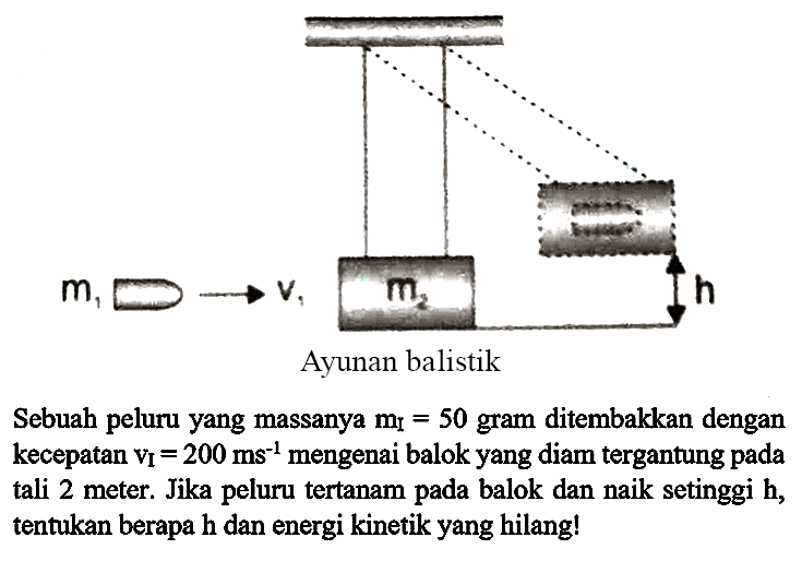 Ayunan balistik
Sebuah peluru yang massanya  m_(I)=50  gram ditembakkan dengan kecepatan  v_(I)=200 ~ms^(-1)  mengenai balok yang diam tergantung pada tali 2 meter. Jika peluru tertanam pada balok dan naik setinggi  h , tentukan berapa h dan energi kinetik yang hilang!